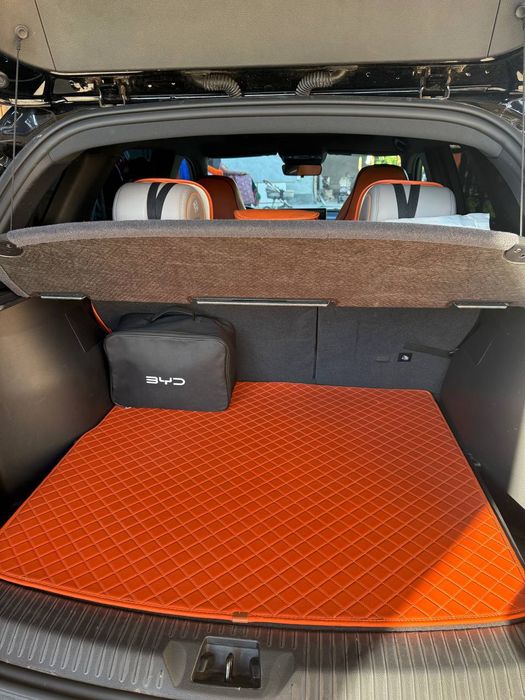 Other Song Pro DM-i Champion 2025 — 4