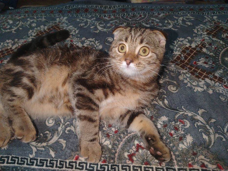 Uzoq muddatli jinsiy aloqa uchun mashhur retseptlar