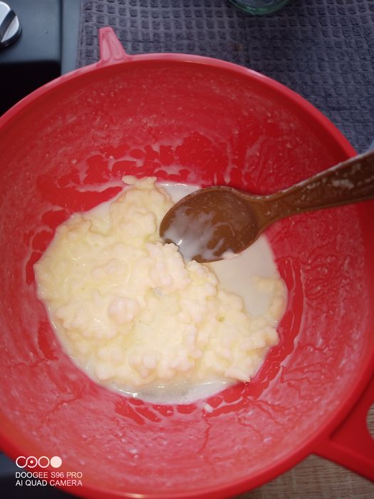 Vand ciuperca kefir tibetană