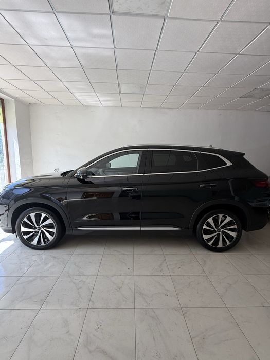 Byd song plus chempion