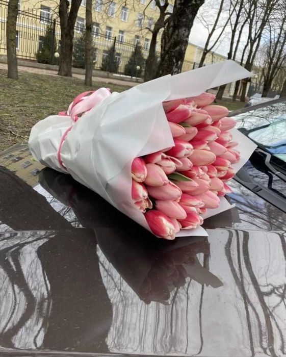 Тюльпаны в розницу и оптом