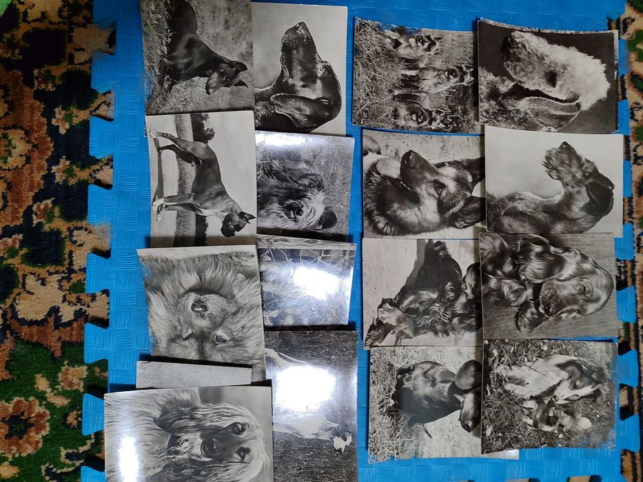 Открытки СССР раритет