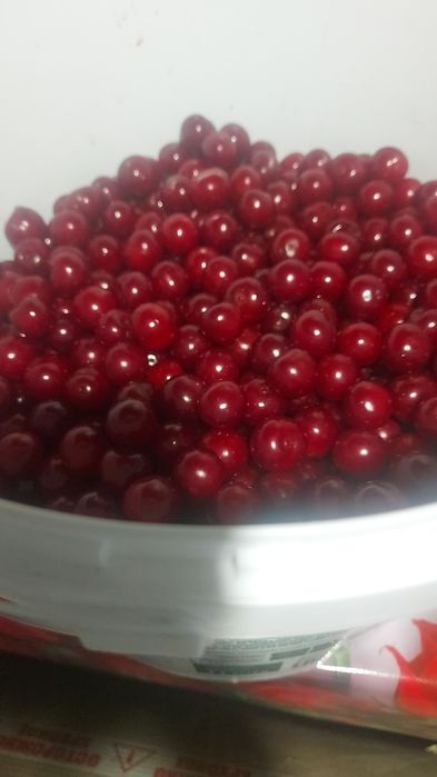 Продам вишню крупную