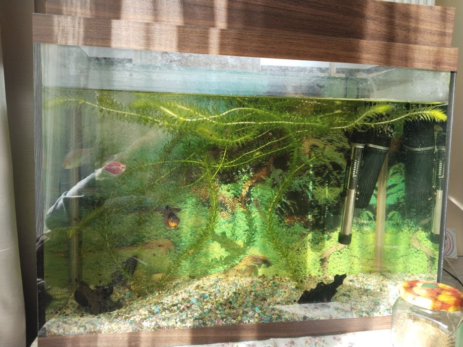 Аквариум 70 литр