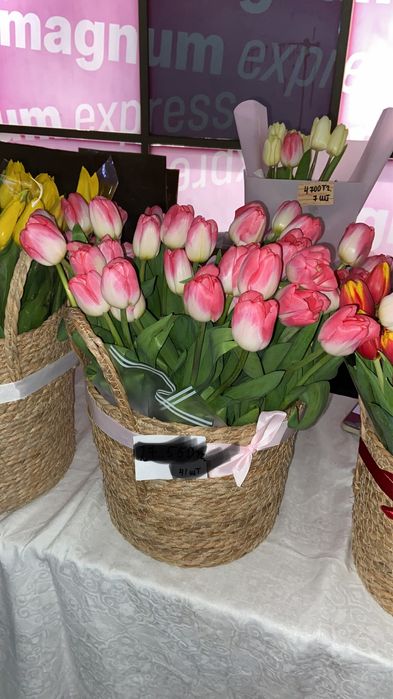 Тюльпаны Алматы 300тг шт.