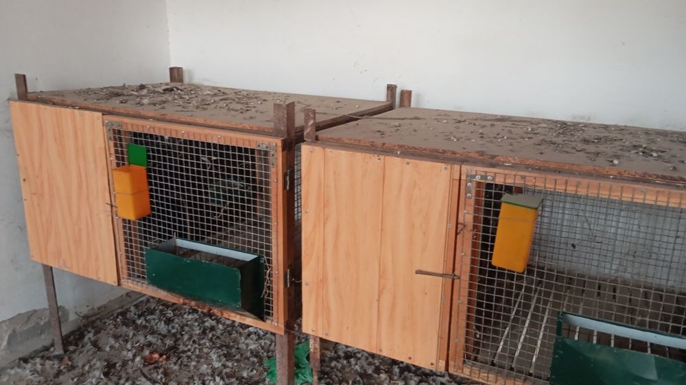 Вольер сотилади куен ва товук учун