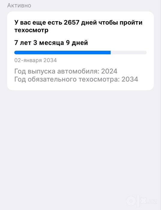 Damas Дамас 2024