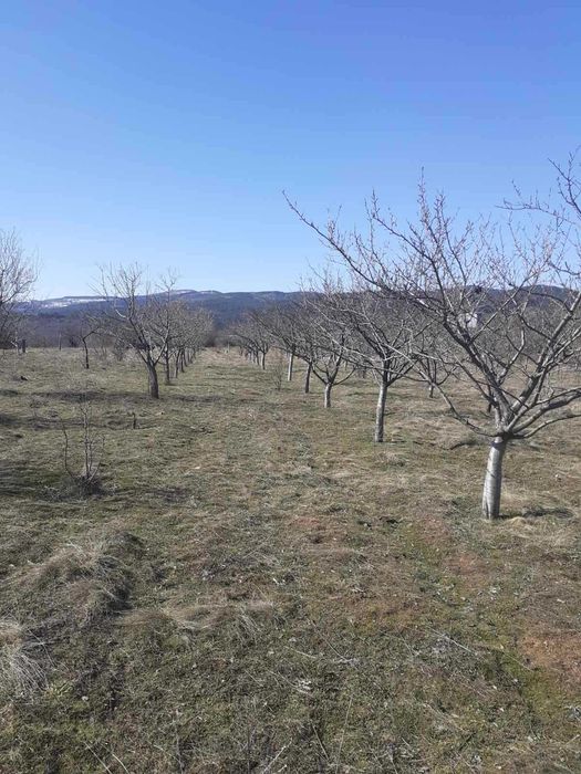 Продава се Земеделски имот в Нови Искър -  кв.м за 12750 €/дка - Снимка #1