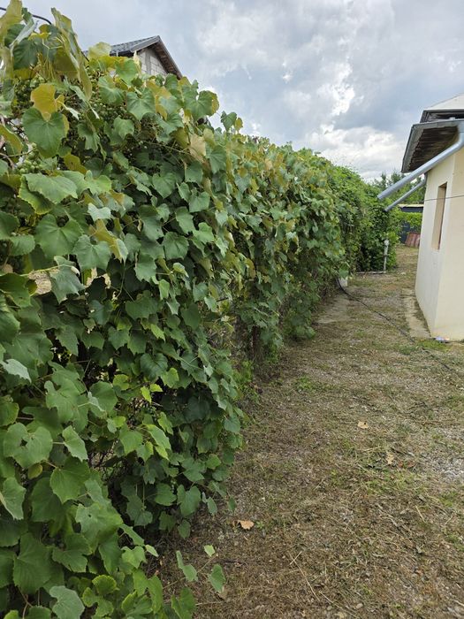 Casă de vânzare demolabilă, cu teren intravilan.
