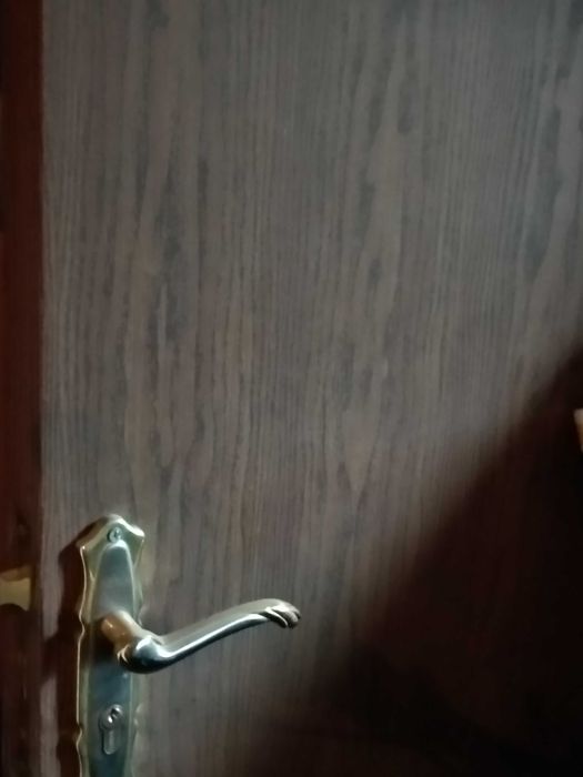 Ușă interior cu mâner 120 Ron