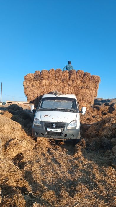 Сабан прес қамыс прес бар