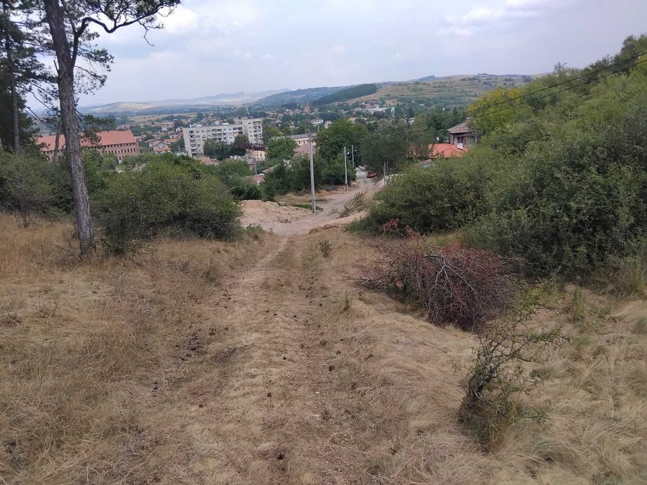 Продава се Парцел в Батановци - 4451 кв.м за 5 €/кв.м - Снимка #5