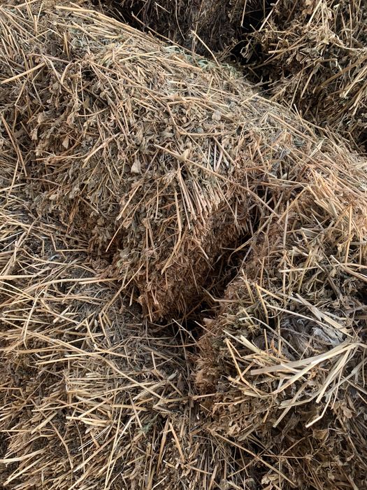 Vînd baloti de paie si lucernă