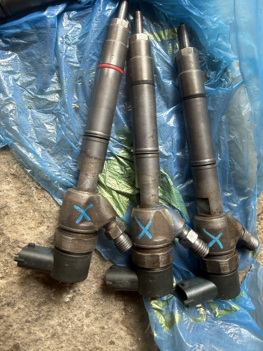 Фарсунки на хунда