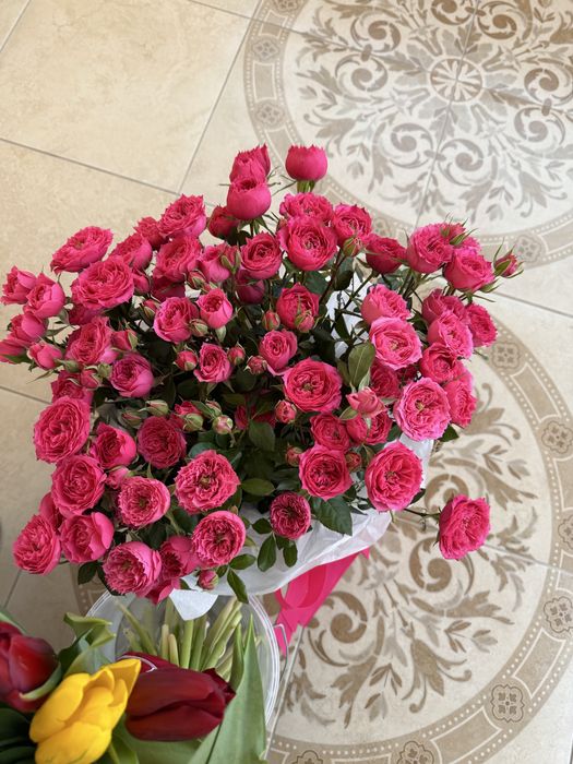 Красивые,свежие цветочки