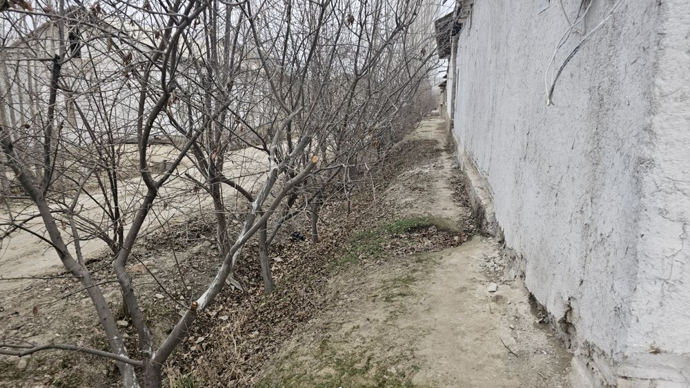 Hovli 5 ta xonasi bor tomarqasi bn birga