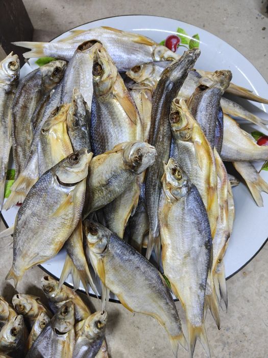 Вяленый рыбец сушеный