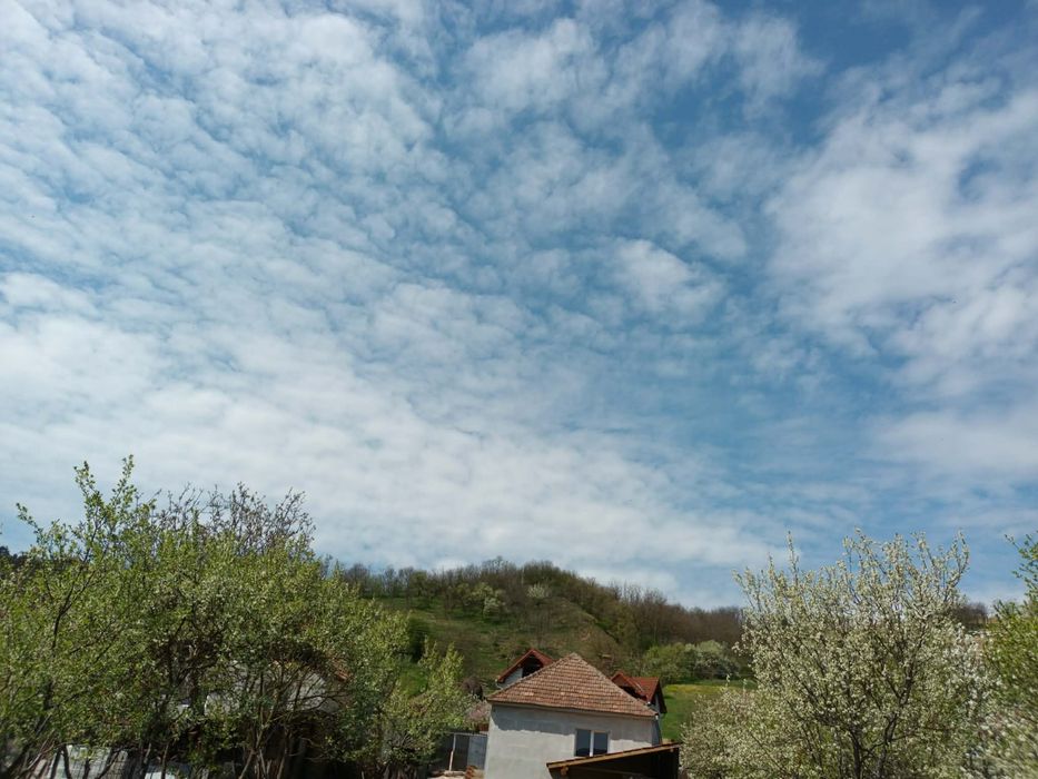 Casă de vânzare, Comuna Vințu De Jos, Sat Virpăr (Codrișor)