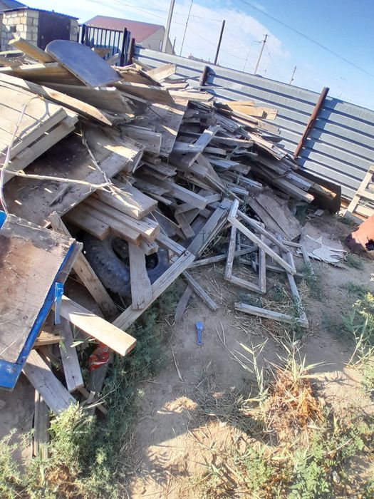 Ағаштар тегін тегін тегін