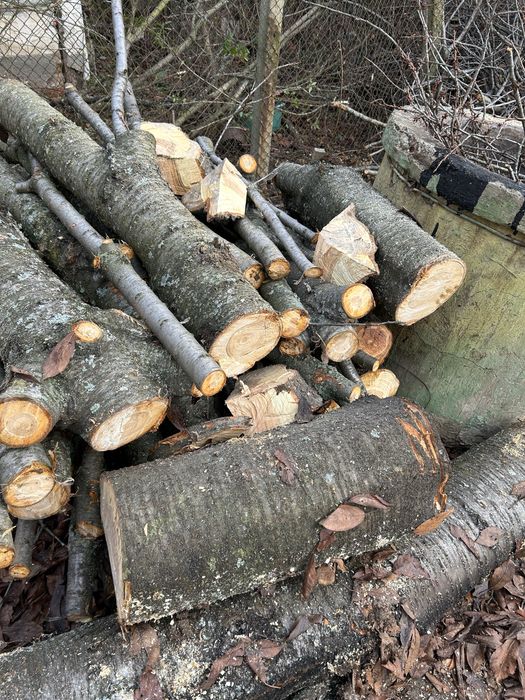 Черешов дървен материал