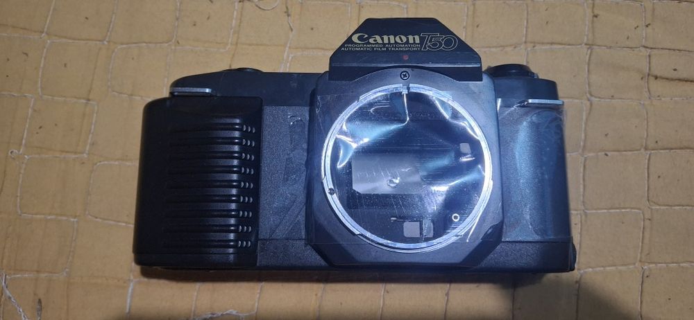 Minolta ,canon ,yashica ,nikon