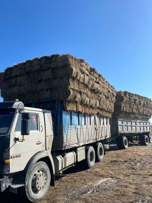 Сено житняк цена 750тг