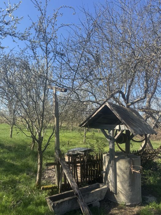 Casa si teren de vanzare la 40 km de Baia Mare