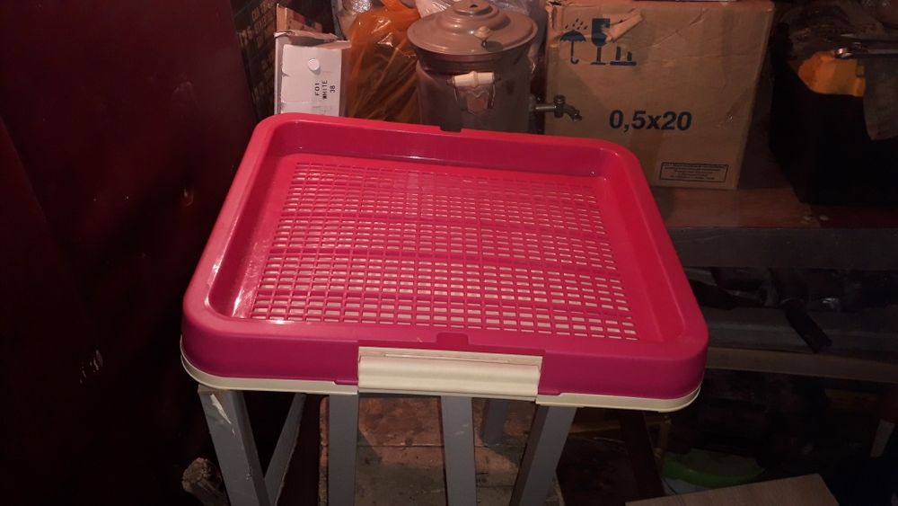 Лоток-туалет для собак.