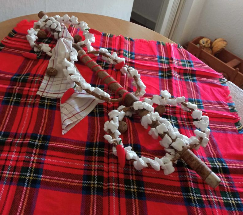 РЕ - кавал сурвакница