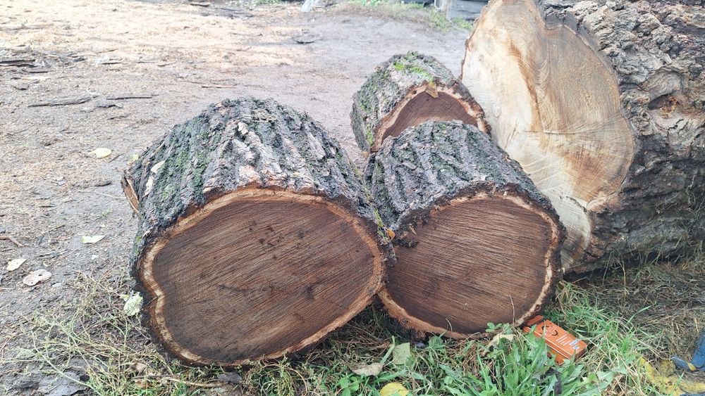 Продам слебы карагача