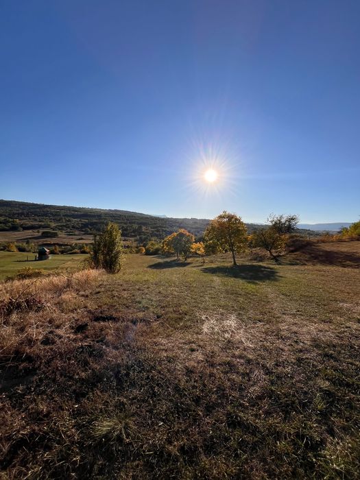 Livada 1 ha - zona de vis aproape de intravilan