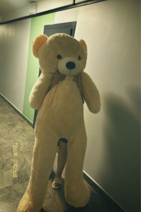 2 метровый медведь