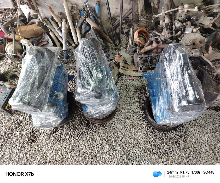 Juguli matorlar 03 06 3.7 terilgan sotiladi