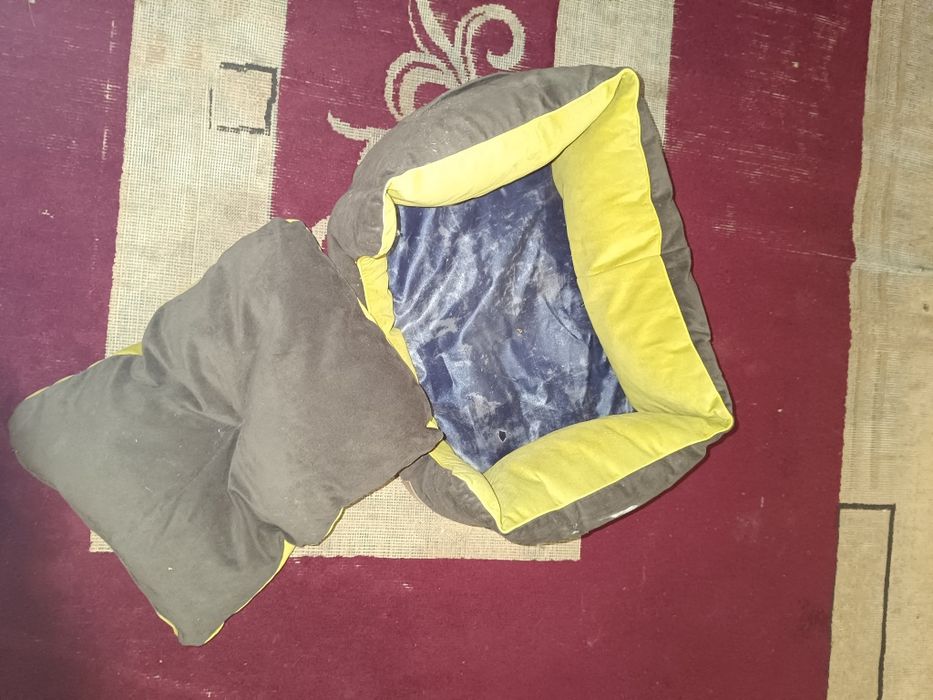 Лежанка для шпица