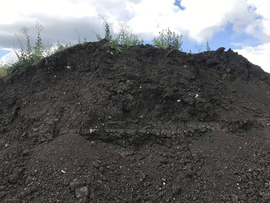 Чернозем (плодородная почва, не навоз).