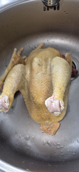 Cocoșii de casă tineri ,tăiați și vii