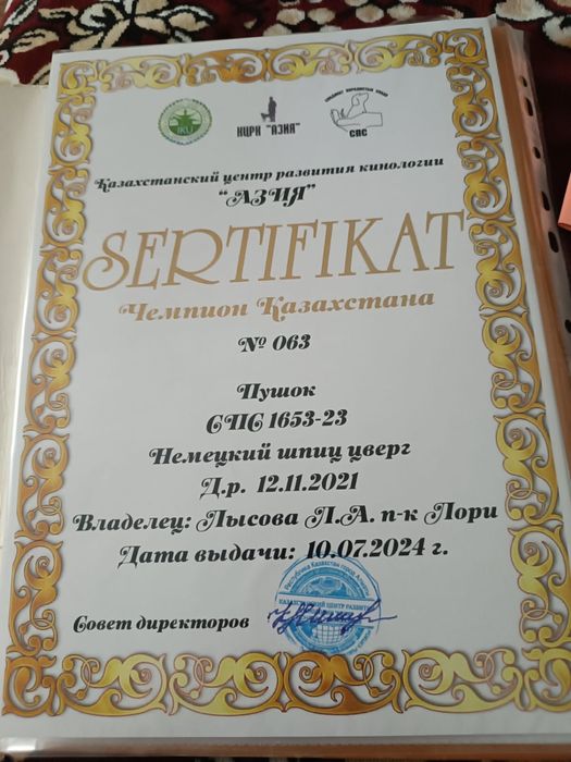 Продам щенков померанского  шпица