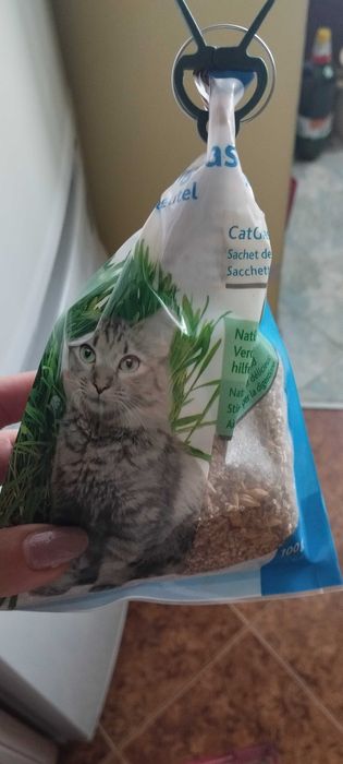 за котката катерушка, купа храна, витамини, легло радиатор