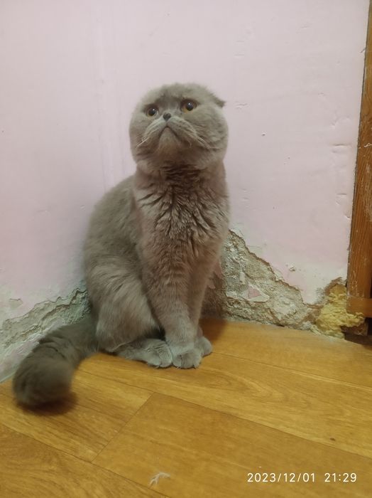 Rus havaskor porno birinchi marta