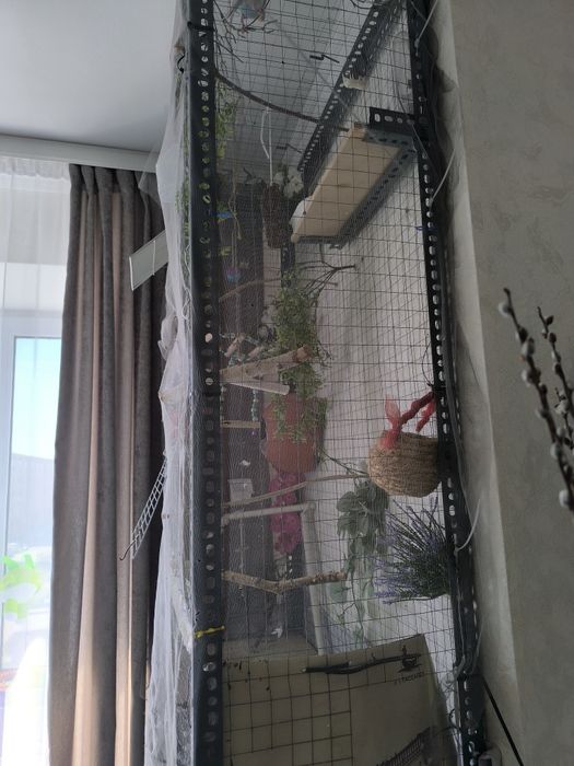 Клетка большая с попугаями