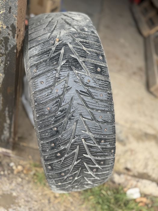 Шины аяк зимние шипованные