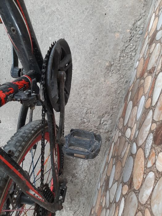 Велик кішкентай зор сапада