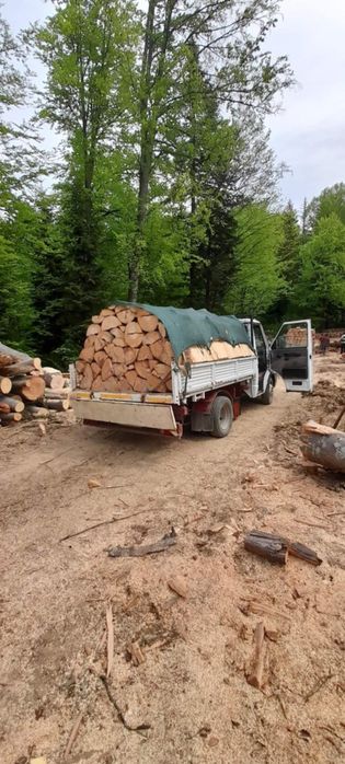 Lemne de foc fag calitate 1 și cantitate la preț bun