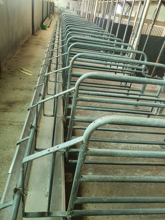 Panouri Boxe zincate  animale scroafe porci vitei zincate