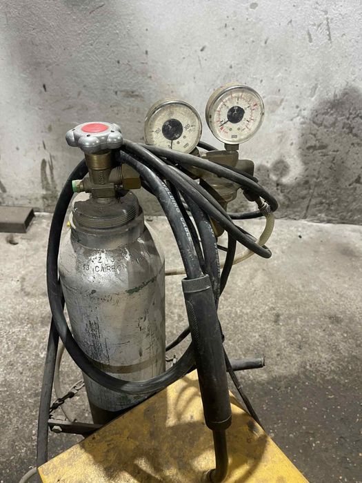 Цео в добро състояние