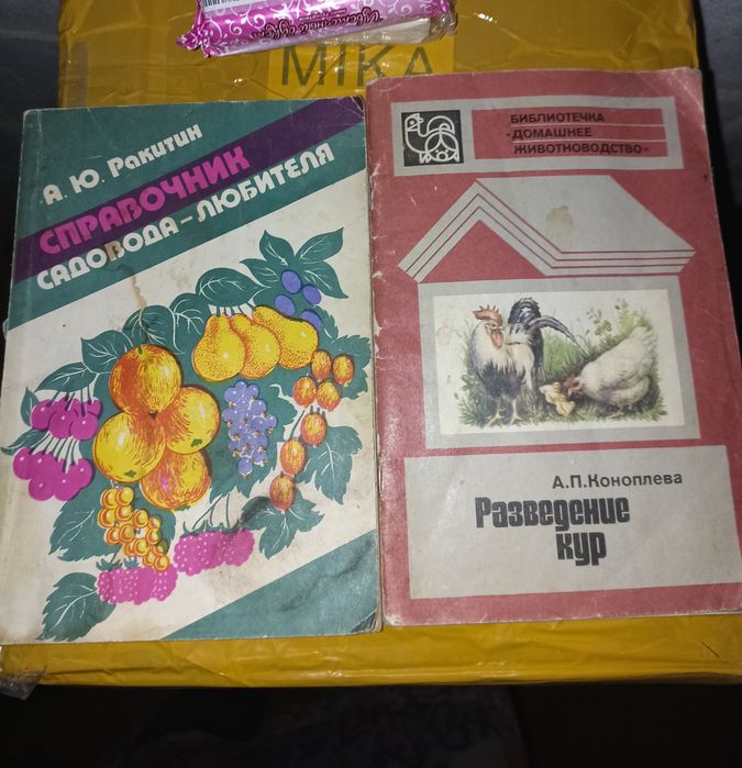 Цветы книга, кактус Юг