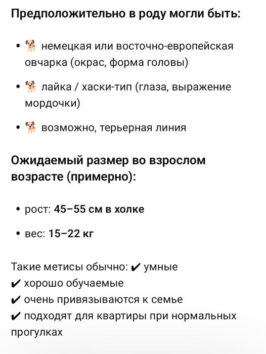 Щенок ищет добрые руки