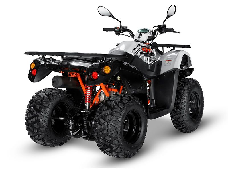KAYO - ATV AU200 inmatriculabil T3b atv