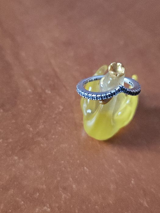 Inel pandora mărimea 48