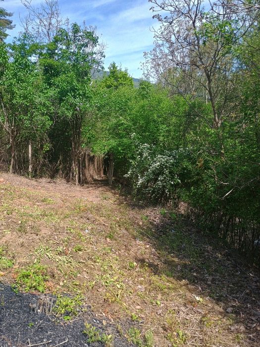 Продава се Къща в с. Луково, Област София-област - 24 кв.м за 625 €/кв.м - Снимка #4